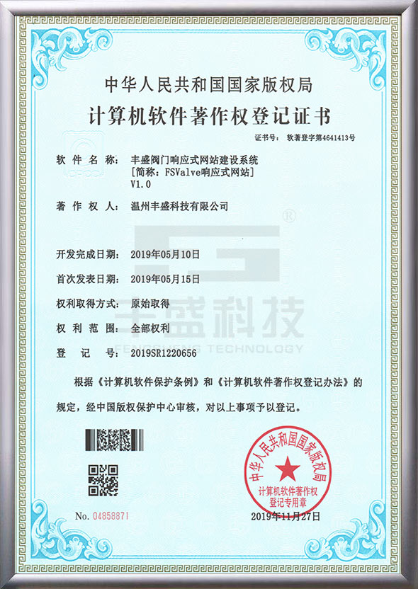 FSValve网站建设著作权